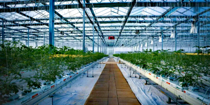 东川区：走出一条差异化高质量发展新路5