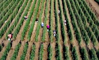 东川区：走出一条差异化高质量发展新路7