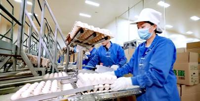 东川区：走出一条差异化高质量发展新路13