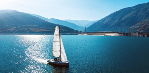 东川区：走出一条差异化高质量发展新路16