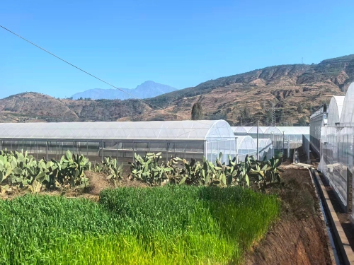 4636468f2c502bb4705a2da4610c49c