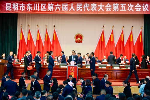 区六届人大五次会议举行第三次全体会议2