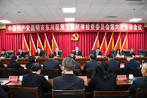 区纪委五届六次全会强调2