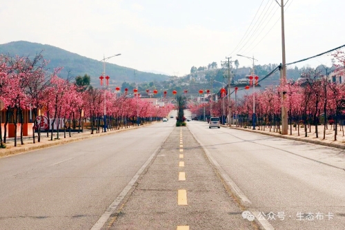 微信图片_2026-03-17_093615_176