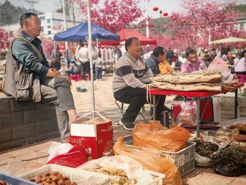 微信图片_20260317101552_818_240