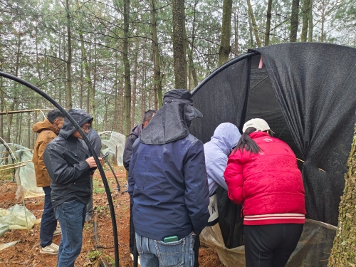 e5300b1cd631cadf6659f74c9a24d65c