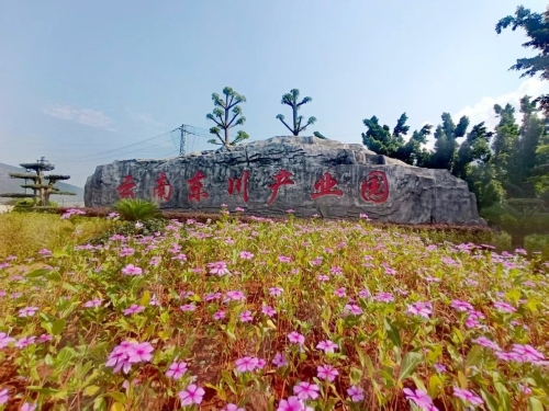 东川产业园区入选全国科技工作者调查站点1