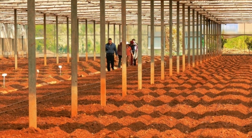 微信图片_20260320095453_911_240