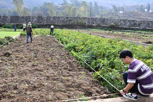 东川：科技小院让干热河谷变“金银窝”2