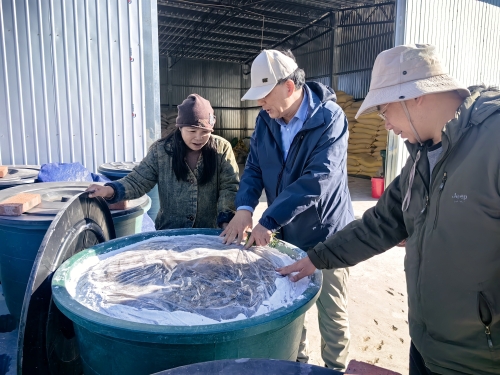 东川：科技小院让干热河谷变“金银窝”3