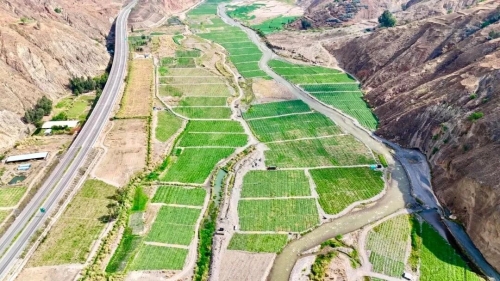 东川：科技小院让干热河谷变“金银窝”5