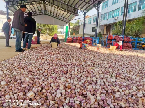 0ceab0dc739881e24afc1355ee9fb113