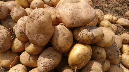 寰俊鍥剧墖_2026-03-19_110121_517