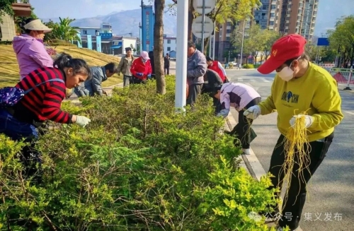 人居环境整治持续发力  “志愿红”绘就集义宜居底色2