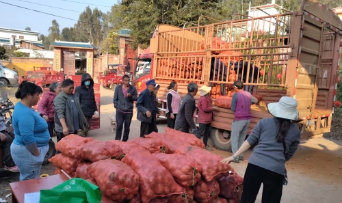 a232c08126041b7ad10ac46a20cc121d