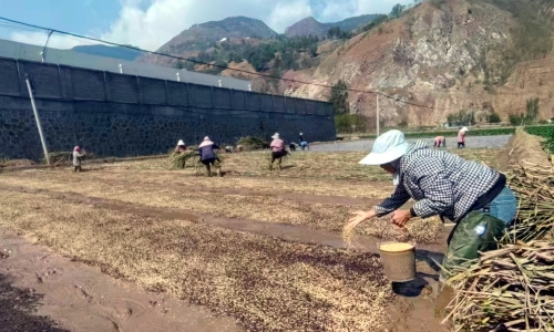 662b58a88793392859c91adf4b11dc12