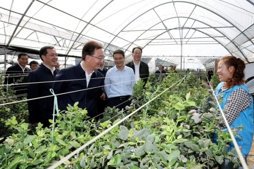 王宁在昆明市调研3