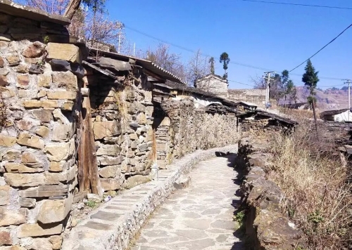 多元产业齐发力 增收致富谱新篇8