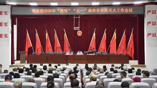 龙镇安排布置2026年“清明・五一”节前森林防火工作