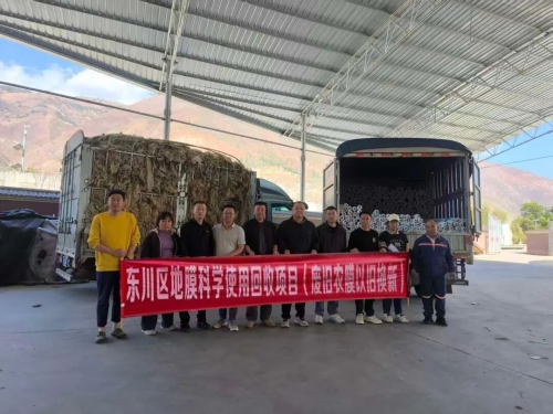 废旧地膜“以旧换新”小行动汇聚东川绿色大变革2