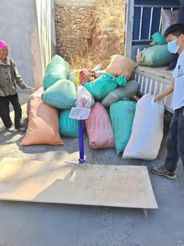 废旧地膜“以旧换新”小行动汇聚东川绿色大变革3