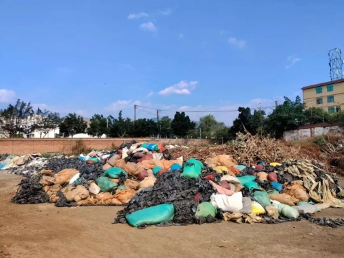 废旧地膜“以旧换新”小行动汇聚东川绿色大变革4