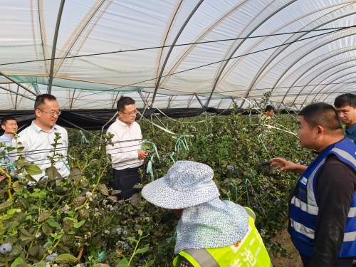 郝国栋带队赴永仁县、宾川县开展考察学习3 郝国栋带队赴永仁县、宾川县开展考察学习3