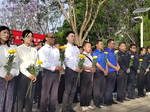 东川区2026年“我们的节日·清明节”主题文明实践活动举行2