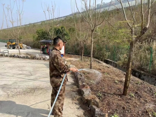 阿旺镇五年深耕 4