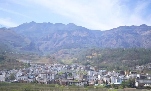 阿旺镇五年深耕