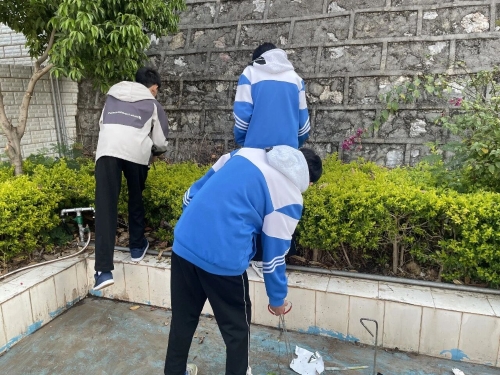【弘扬雷锋精神】东川区各级团组织开展学雷锋系列志愿服务活动3