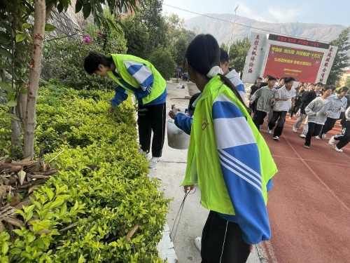 【弘扬雷锋精神】东川区各级团组织开展学雷锋系列志愿服务活动5