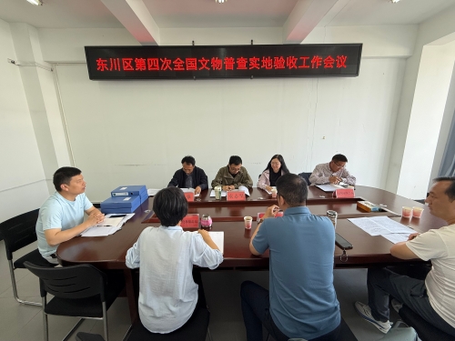 东川区顺利通过第四次全国文物普查省级实地验收1