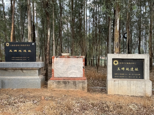 东川区顺利通过第四次全国文物普查省级实地验收2