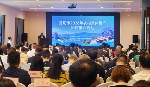 东川区亮相昆明市2026农村集体资产招商推介活动1