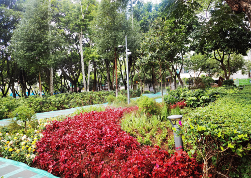 城市2