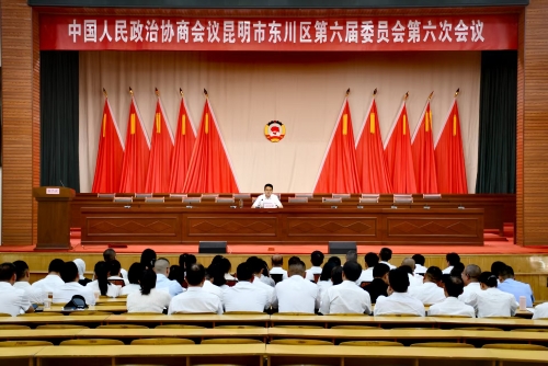 区委召开区政协六届六次会议中共党员会议1
