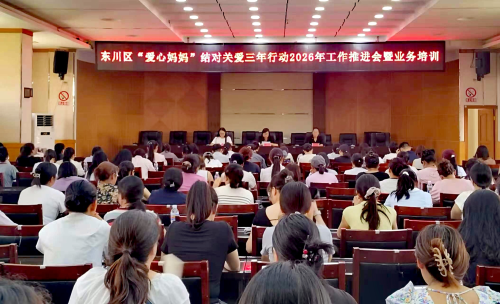 东川召开“爱心妈妈”结对关爱三年行动2026年工作推进会1