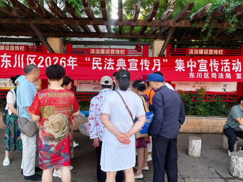 【民法典宣传月】东川区司法局扎实开展民法典宣传月系列宣传活动1