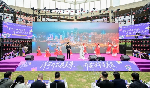 【跟着赛事游东川】东川“洋芋花开”艺术季启幕&nbsp; 洋芋花海激活“红土经济”2