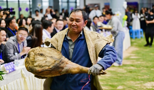 【跟着赛事游东川】东川“洋芋花开”艺术季启幕&nbsp; 洋芋花海激活“红土经济”10