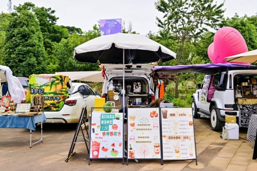 【跟着赛事游东川】东川“洋芋花开”艺术季启幕&nbsp; 洋芋花海激活“红土经济”14