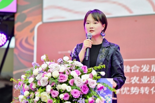 【招商引资】花海搭台 文旅唱戏 东川红土地以花为媒引项目促振兴5