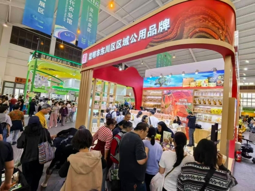 东川“红土优采”品牌出圈 优质农产品周末迎抢货潮1
