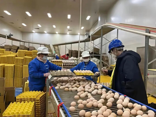 金沙江畔，东川奔涌向前！3