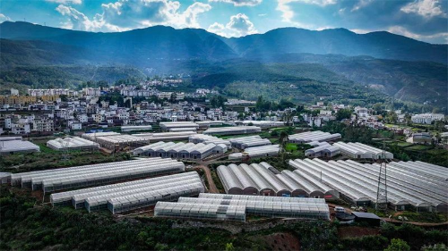 锚定蓝图，东川奋力打造三大发展示范区！