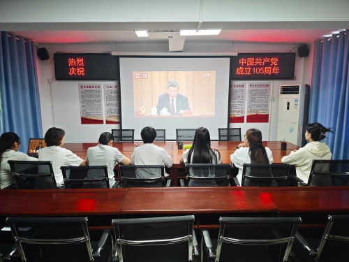 区妇联开展庆祝建党105周年主题党日活动1