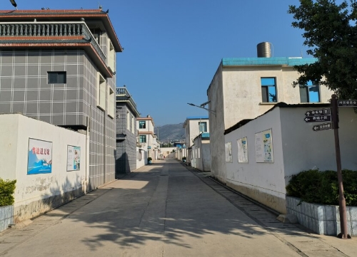 【党旗领航 先锋建功】从“软弱涣散”到“春城先锋”：野牛村的山乡巨变4