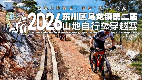 乌龙2
