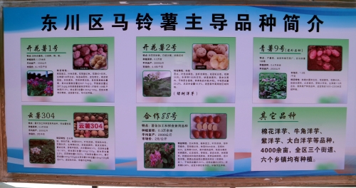 IMG (23)